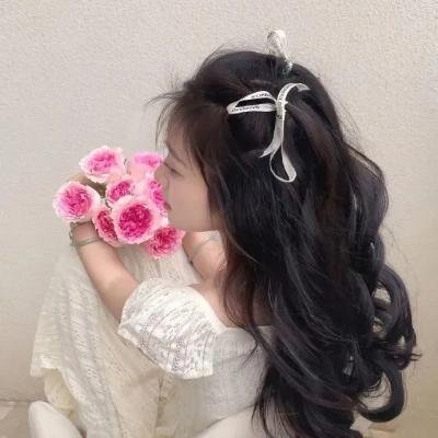 禁止入内的鼹鼠